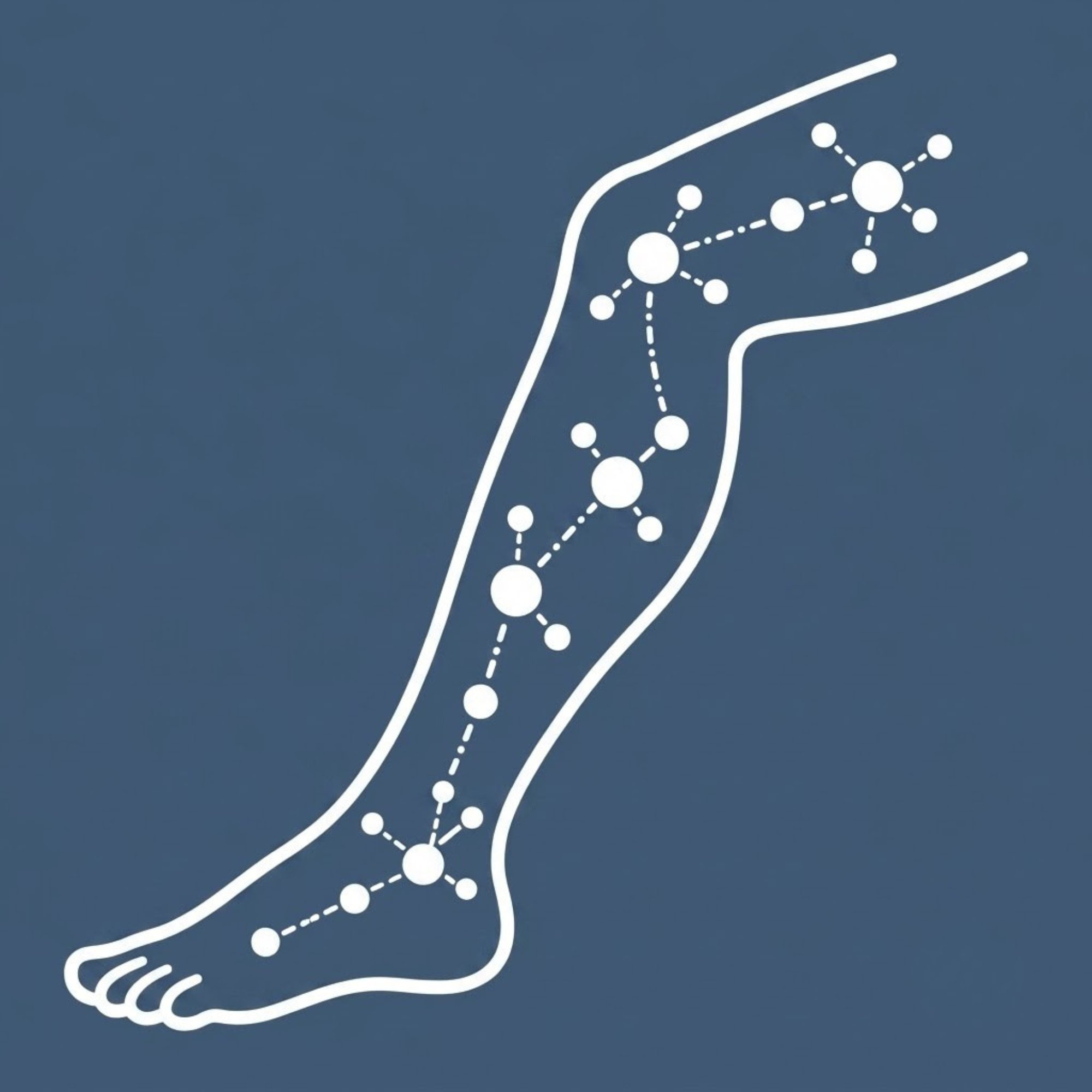 Beenklachten Netwerk Logo